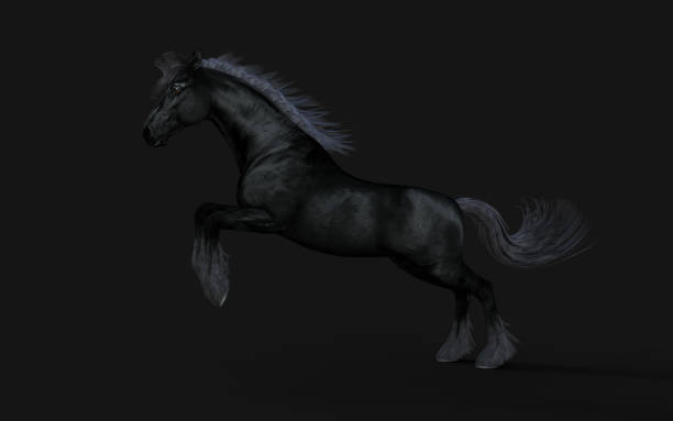 istock Black horse with long mane on black background. 3D rendering 1702456292