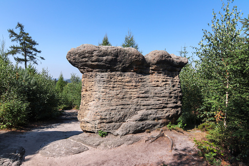 Stone Mushrooms - rock formation in Broumov Walls (Broumovske steny), mountain range and nature reserve, part of Table Mountains in Czech Republic
