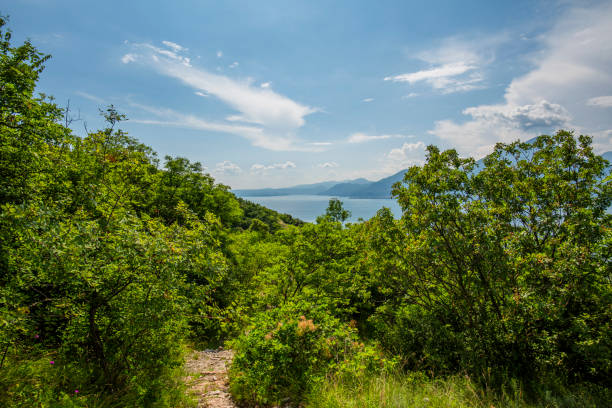 2023 06 11 Pai the lake 10