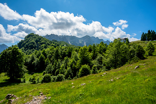 mountain landscape view of the small Vicenza Dolomites with rocks and pasture meadows, pine forests and huts in the Recoaro Alps Vicenza Veneto Italy