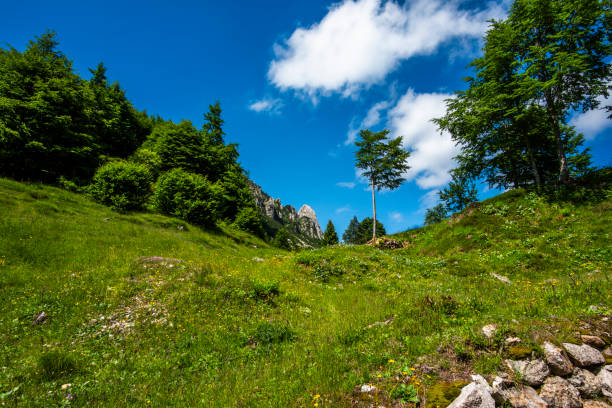 istock 2023 06 25 RecoaroTerme mountain landscape 22 1702481713