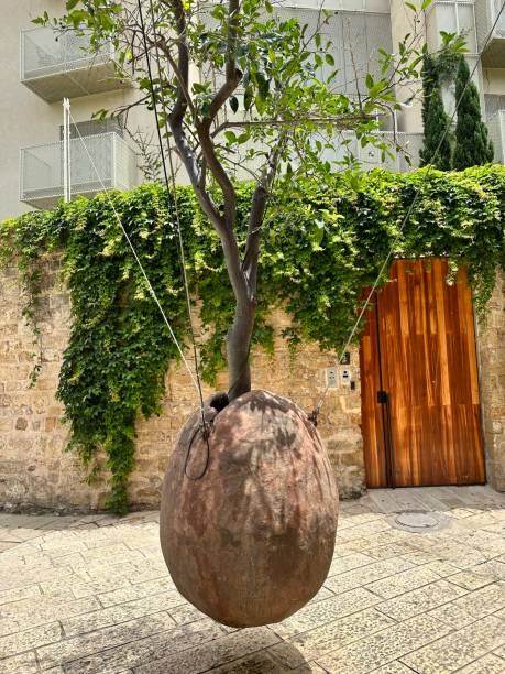 istock Orange tree in the center of old Yaffa 1702515880