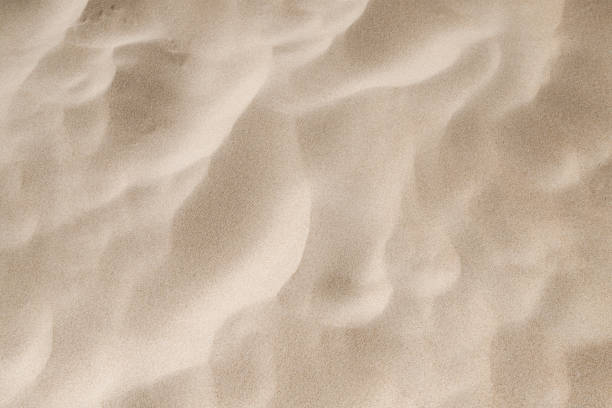 istock Full frame of sandy background on the beach 1702539828