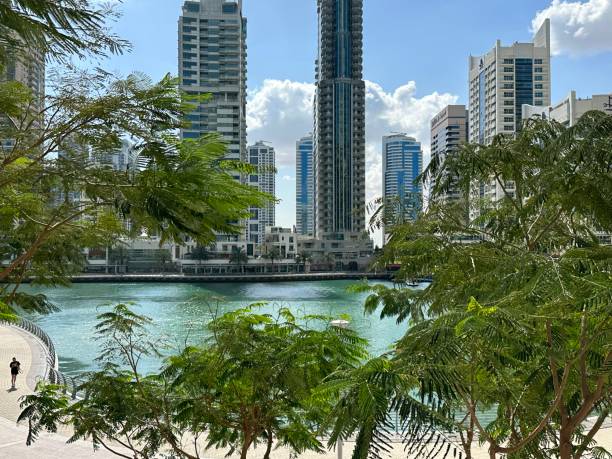 istock Dubai city and Dubai Marina views 1702562916