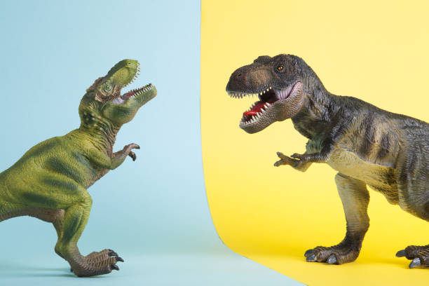 istock 2 dinosaurs fighting on a yellow and blue background 1702577952