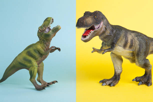istock 2 dinosaurs fighting on a yellow and blue background 1702578480