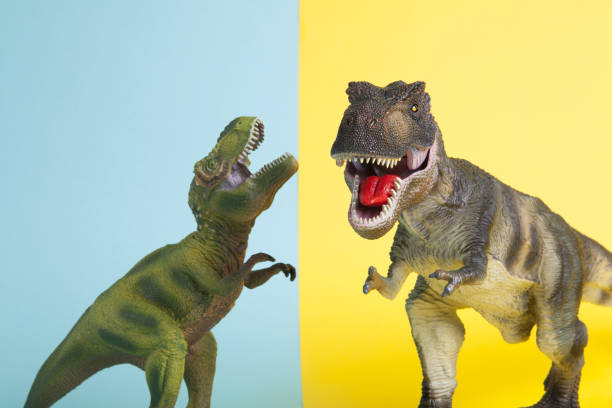 istock 2 dinosaurs fighting on a yellow and blue background 1702578517