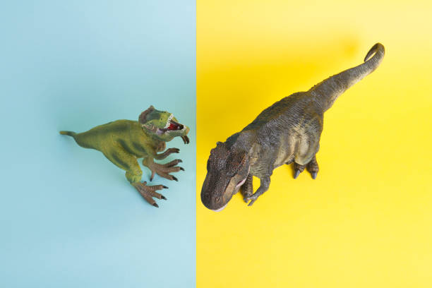 istock 2 dinosaurs fighting on a yellow and blue background 1702578519