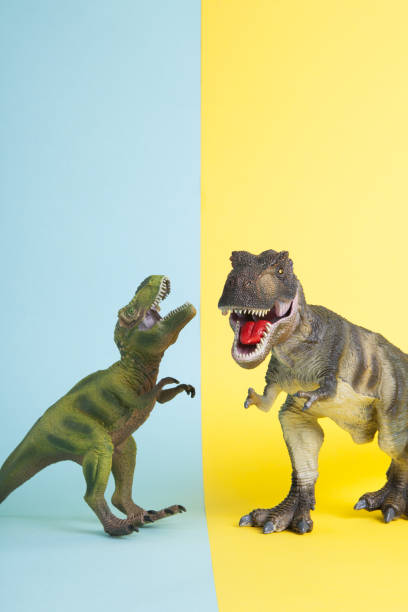 istock 2 dinosaurs fighting on a yellow and blue background 1702579039