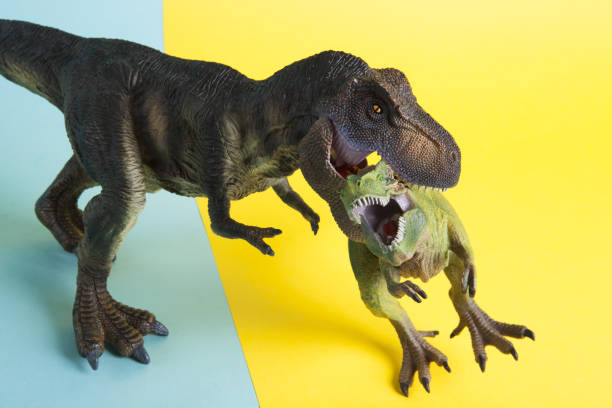 istock 2 dinosaurs fighting on a yellow and blue background 1702579104