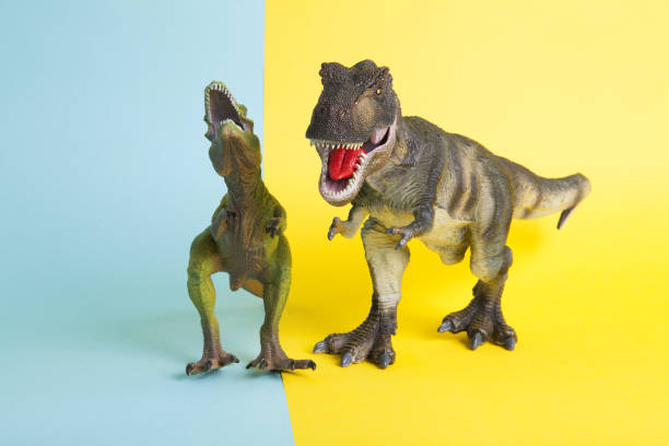 istock 2 dinosaurs fighting on a yellow and blue background 1702579361
