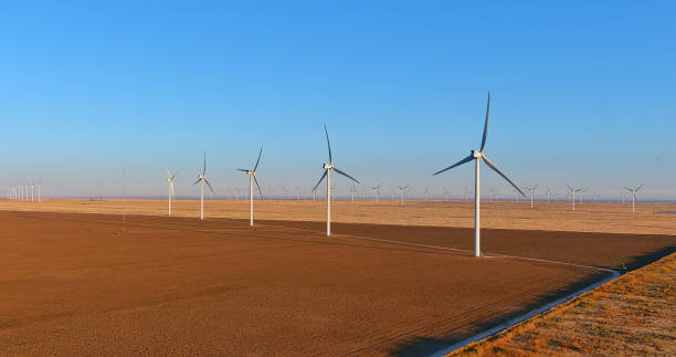 istock Wind Turbines and a field in Texas 1702579640