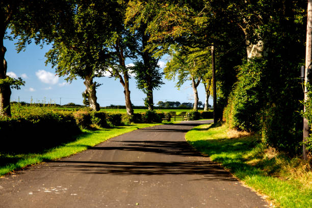 istock Sunlit Country Lane on a Bright Autumn Morning 1702594976