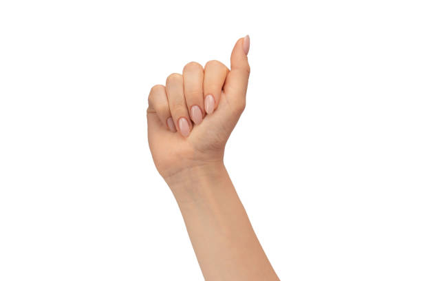 istock Woman hands  isolated on a white background. 1702612967