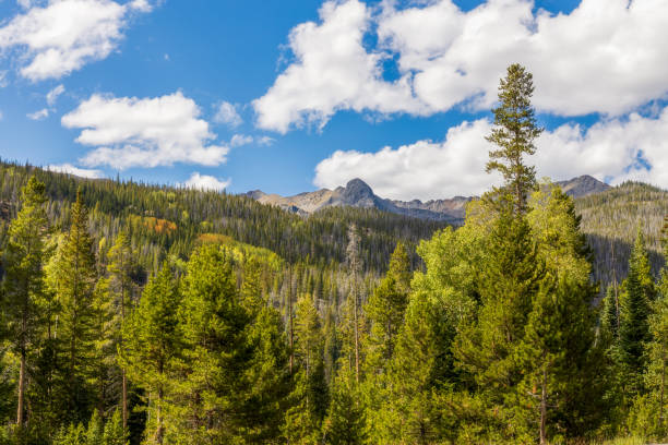 istock Scenic view in Rocky Mountain National Park 1702620516