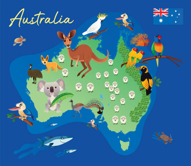 ilustrações, clipart, desenhos animados e ícones de austrália animais mapa - koala sydney australia australia animal