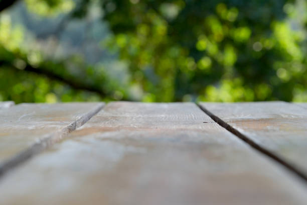 istock Wooden background place for text, information and green blurred area 1702638043