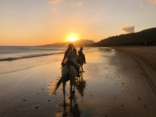 istock Horseback riding on the beach at sunset 1702644765