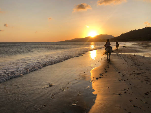 istock Horseback riding on the beach at sunset 1702645320