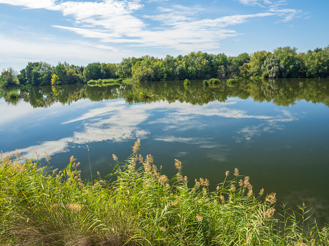 Landscape, reflections in the river