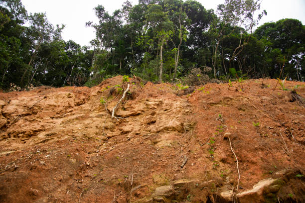 istock Landslide in Brazil 1702705378