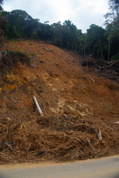 istock Landslide in Brazil 1702707056