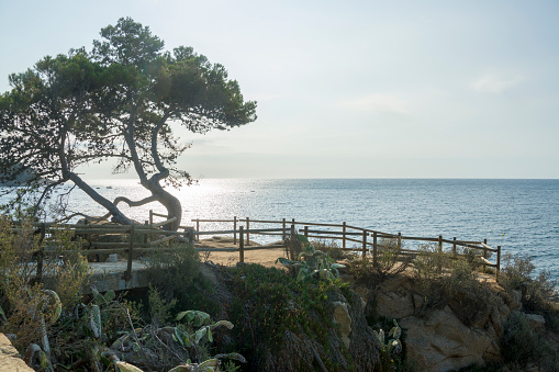 Calella de Palafrugell coastal town in the Costa Brava Girona province Spain outlook to the Mediterranean sea.