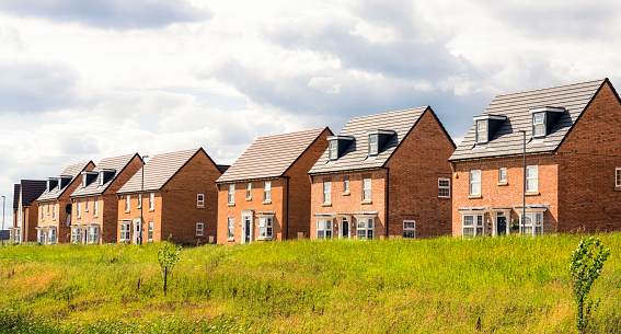 New build detached houses by a meadow with young planted trees at a development near Milton Keynes.