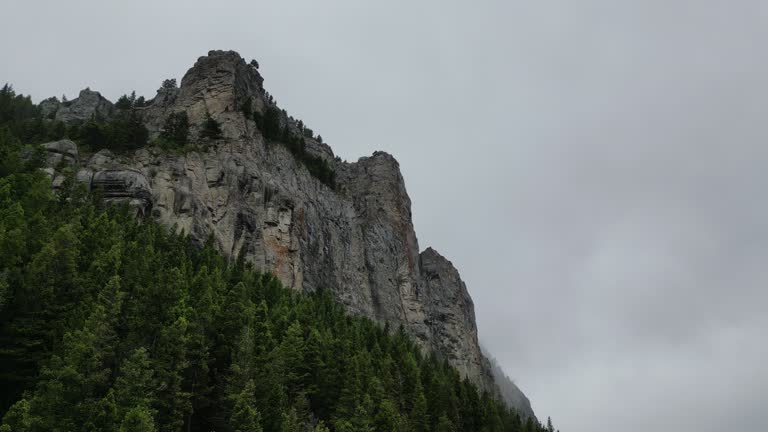 Pan Up from Evergreen Trees to Majestic Mountain Peak on Cloudy Day