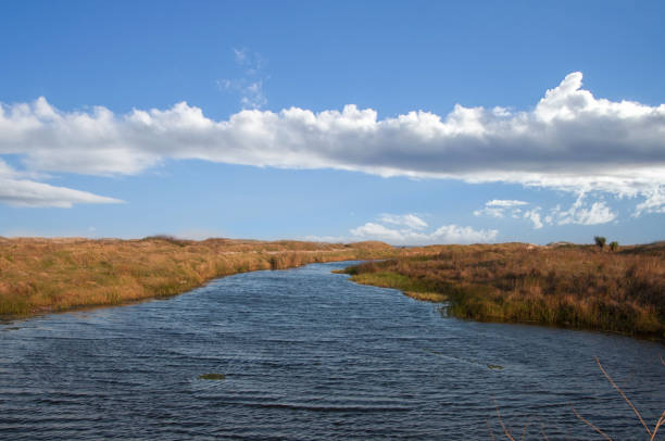 Beautiful river running through the countryside in summer
