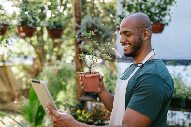 istock Gardening store owner showing plants on video call 1702829901