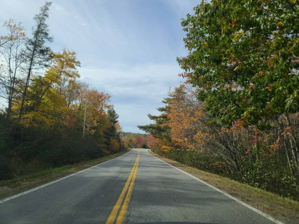 istock An Autumn Road View 1702831939