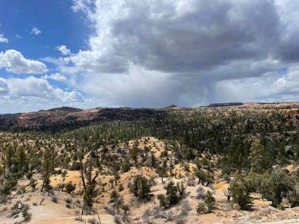 istock Panoramic view from the top of the valley in Richfield . 1702883344