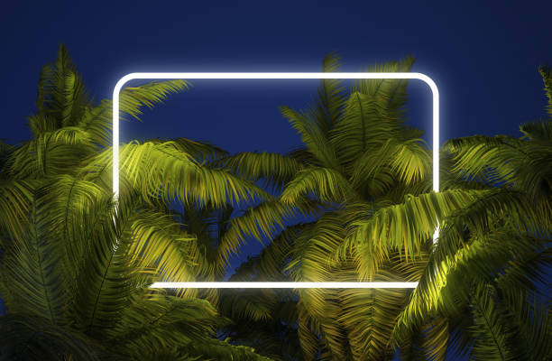 istock Glowing border in the night tropical forest. Mockup with tropical leaf background, 1702901479