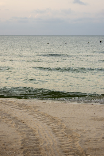 Photo taken on St. George Island in Florida's panhandle, with Nikon D7200 and AF-S NIKKOR 70-200mm f/2.8E FL ED VR