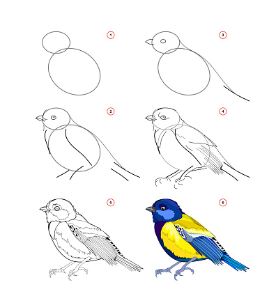 How to draw cute titmouse. Educational page for children. Creation step by step animal illustration. Printable worksheet for kids school exercise book. Online education. Vector drawing.