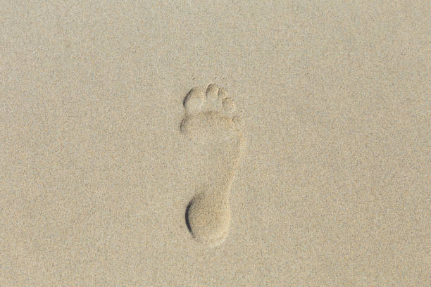 istock Human footprint on sand summer tropical beach background 1702984527