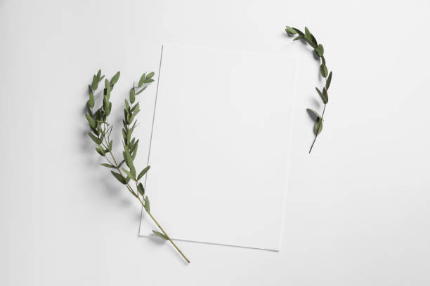 istock Empty sheet of paper and decorative leaves on white background, flat lay. Mockup for design 1703047455