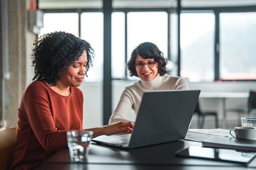 Two focused, mid adult biracial female entrepreneurs planning events while sitting at a desk, both looking at an open laptop in front, large windows behind them. Waist up image.