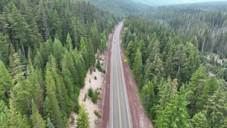 Aerial View of Road Leading Through Oregon Forest