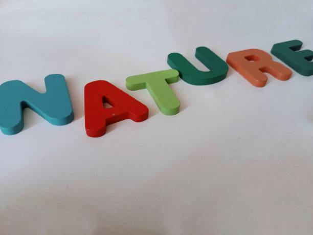 istock Photo with the word nature as an object 1703149486