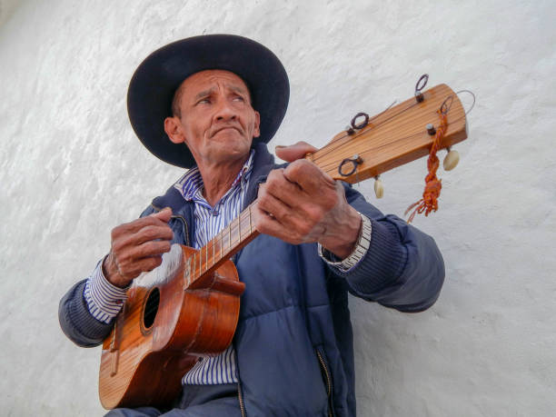 istock Senior man playing the accoustic guitar 1703152261