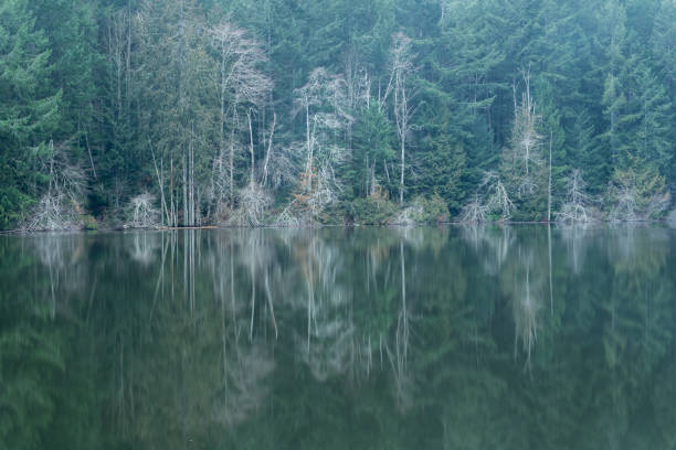 Durrance Lake reflections in Victoria, BC.