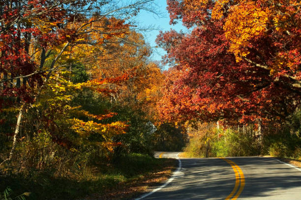 A country road curves through colorful autumn foliage in northeast Ohio.