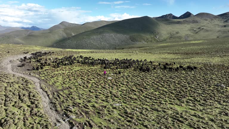 Beautiful landscape of Minya konka mountain in Sichuan, China