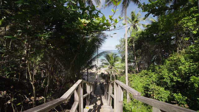 Walking steps down stairs beach summer Coconut tree island background.