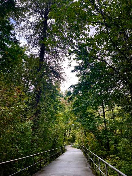 istock Return of Greenery with Autumn Showers 1703270392