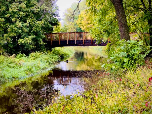 istock Wooden bridge over creek 1703281878
