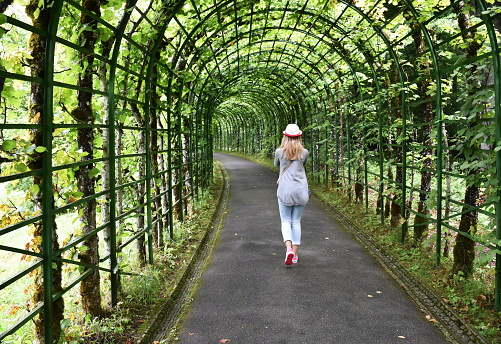 Rear view of blond woman walking through the tree tunnel