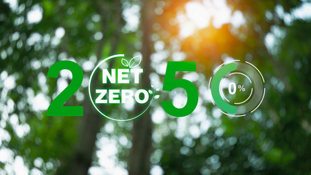 istock CO2 emission reduction concept, clean and friendly environment without carbon dioxide emissions. Planting trees to reduce CO2 emissions, environmental protection concept. 1703312518